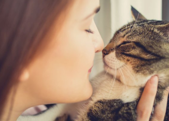 Kediniz İsminizi Öğrenebilir