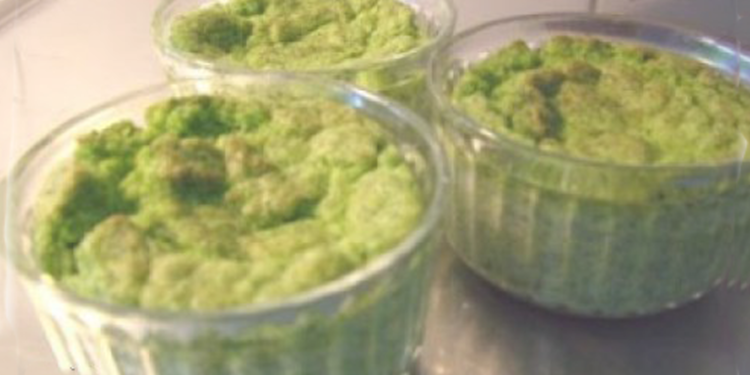 Veganlar için brokoli suflesi