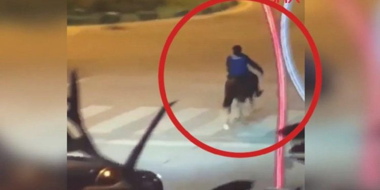 Bartın’da ‘at kazası’ kamerada