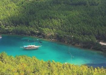Bodrum’daki ‘Cennet’e Bir Hançer Daha!