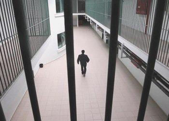 Çıplak Arama Savlarını Daima Yalanladılar: İmajlar Dava Belgesinde