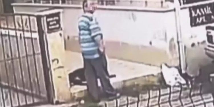 Hatay’da iğrenç olay: Sokak hayvanına cinsel istismar