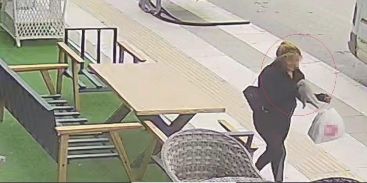 İş Yerinin Önünden Kedi Çaldı