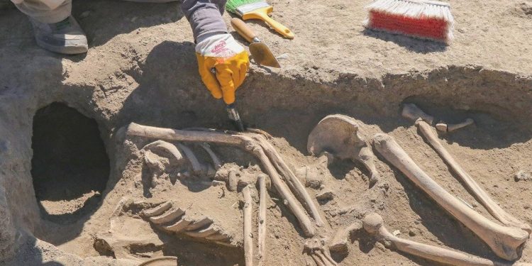 Kafatası olmayan 2 bin 700 yıllık iskelet araştırılıyor