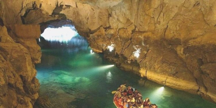 Kuşağı Tehlikedeki Akdeniz Fokları İçin “Mağaralara Girmeyin” Uyarısı