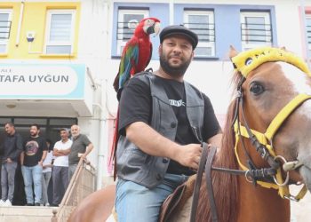 Oy kullanmaya papağanı ve atıyla gitti