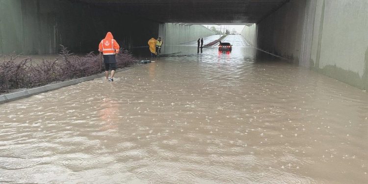 Sağanak yağış bir çok kentte hayatı felç etti: Dereler taştı, hayvanlar telef oldu