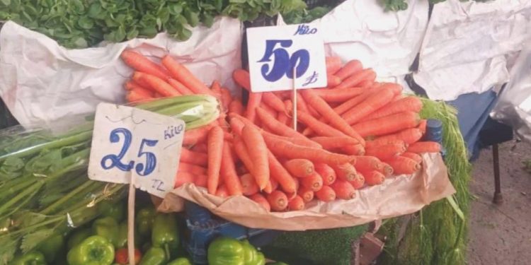 Soğandan sonra yeni artırım şampiyonu… 1 kilo havuç 50 TL!  Fiyatı gören meskene eli boş döndü