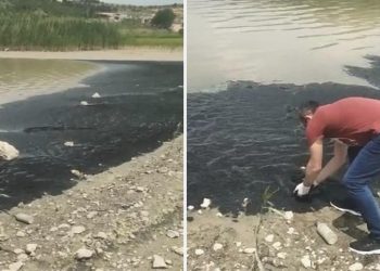 Tasa yaratan imaj: Boğazköy Barajı’nın yüzeyi siyaha büründü