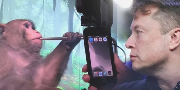 Testler Tamamlandı, Karar Verildi: Elon Musk’ın Beyin Çipine Onay Çıktı