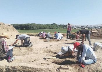 Van kayyumundan bir icraat daha: Arkeolojik kazıyı durdurdu