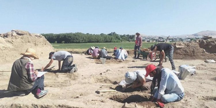 Van kayyumundan bir icraat daha: Arkeolojik kazıyı durdurdu