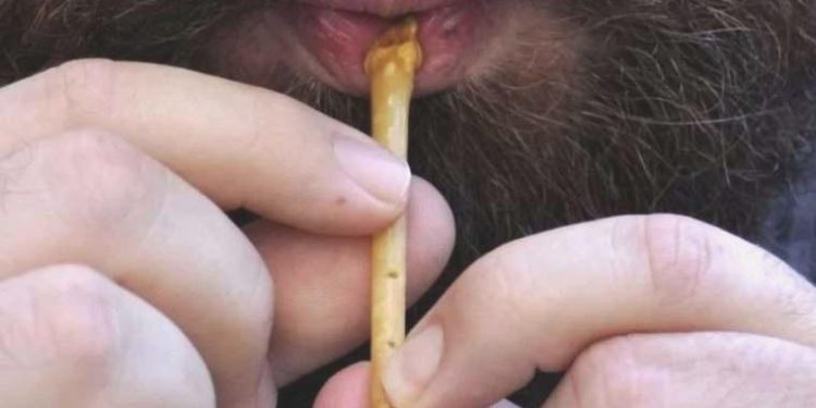 12 bin yıl evvel yırtıcı kuşların sesi ‘flütle’ taklit edilmiş