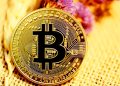 Bitcoin’deki Yükseliş Devam Edecek Mi?