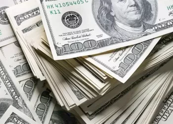 Dolar 25 TL’nin üzerini gördü