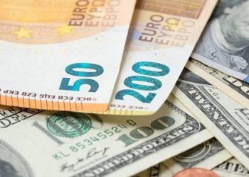 Ekonomistlerin dolar/TL kuru anketi sonuçları?