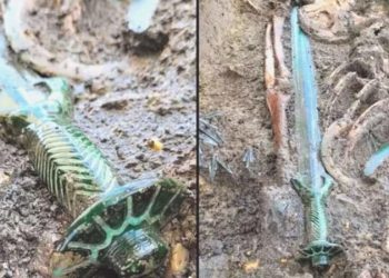 Almanya’da 3 bin yıllık son derece az bir kılıç keşfedildi
