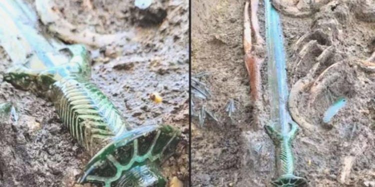 Almanya’da 3 bin yıllık son derece az bir kılıç keşfedildi