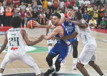 Anadolu Efes, şampiyonluğunu ilan etti!