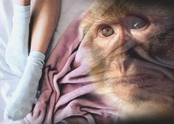 Araştırma: Mastürbasyonun tarihi 40 milyon yıl öncesine uzanıyor