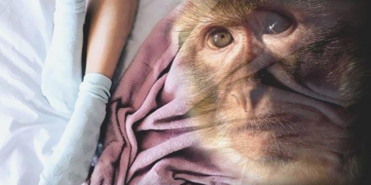 Araştırma: Mastürbasyonun tarihi 40 milyon yıl öncesine uzanıyor