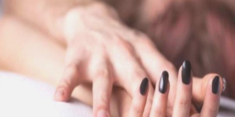 Avrupa Seks Şampiyonası iştirakçileri açıklandı