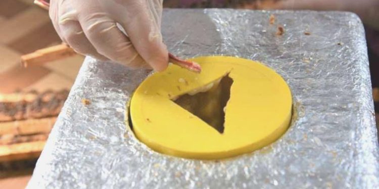 “Beyaz altın”a ilgi yüksek: Kilosu 15 bin liradan satılıyor