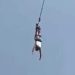 Bungee Jumping yaparken ip koptu