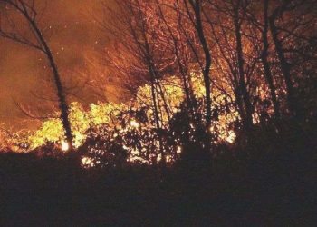 CHP’li belediyelere orman yangını riskine karşı ‘tedbir’ talimatı