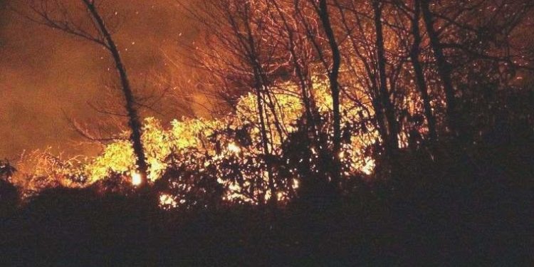 CHP’li belediyelere orman yangını riskine karşı ‘tedbir’ talimatı