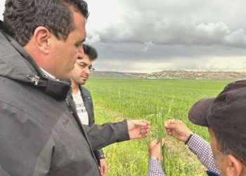 CHP’li Karasu: Sivas afet bölgesi ilan edilsin