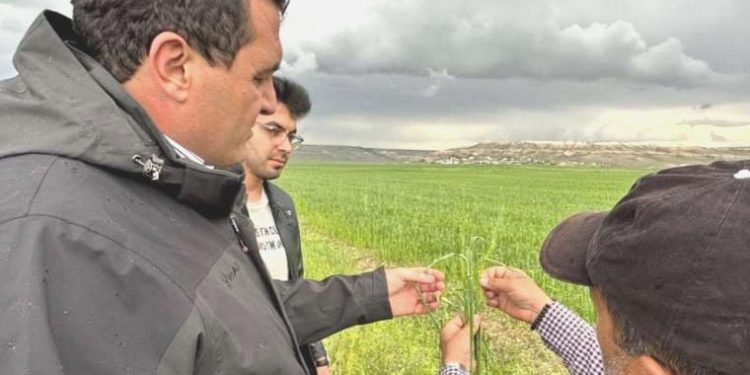 CHP’li Karasu: Sivas afet bölgesi ilan edilsin