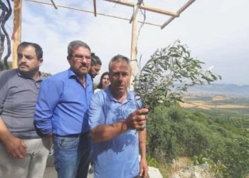 Depremzede yurttaş adalet peşinde: ‘Bizi de öldürmeyin’