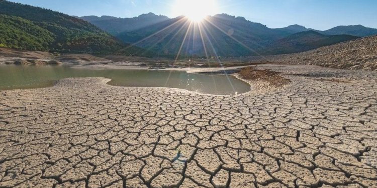 Dünya Etraf Günü: Türkiye’de etraf sıkıntılarının tahlilini zorlaştıran 4 neden