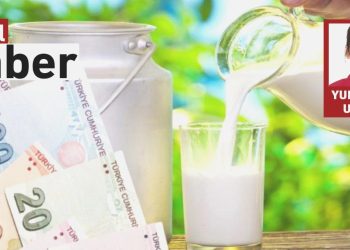 Dünyada Düşüyor, Türkiye’de Değişmiyor; Kriz Süt Fiyatlarını da vurdu!