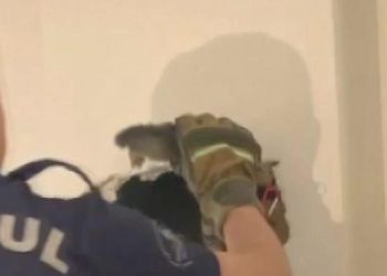 Duvarı delip kediyi bu türlü kurtardılar