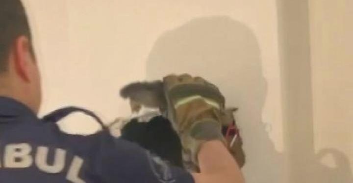 Duvarı delip kediyi bu türlü kurtardılar
