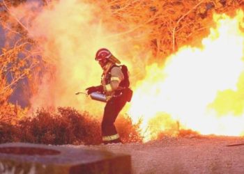 El Nino başladı, 2024’te sıcaklık rekoru kırılabilir