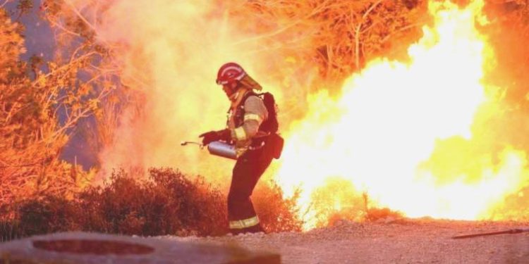 El Nino başladı, 2024’te sıcaklık rekoru kırılabilir