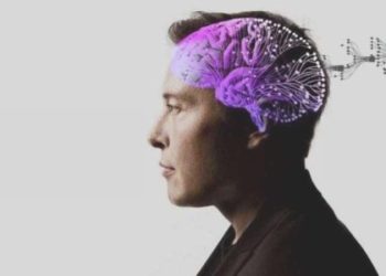 Elon Musk duyurdu: İnsan beynine birinci çip bu yıl takılacak!