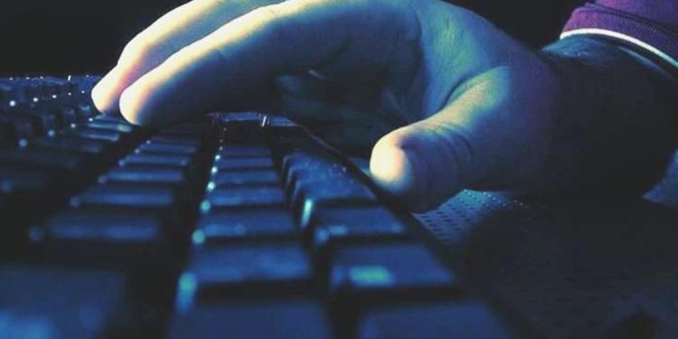 En çok kazandıran yazılım lisanları muhakkak oldu