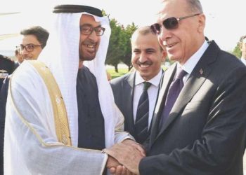 Erdoğan BAE Devlet Lideri ile görüştü