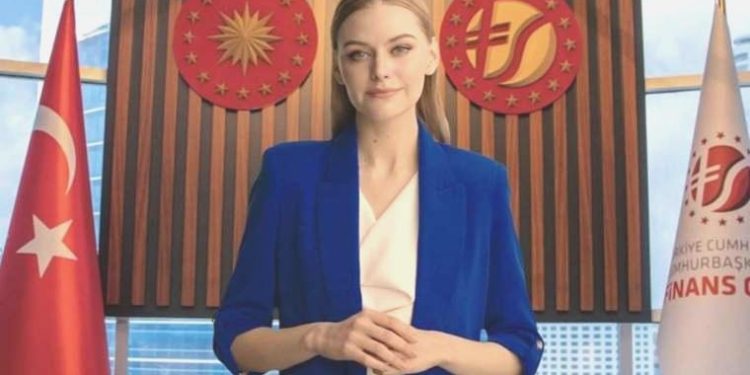 Fintek Sözlüğü nedir? Fintek Sözlüğü nasıl kullanılır?