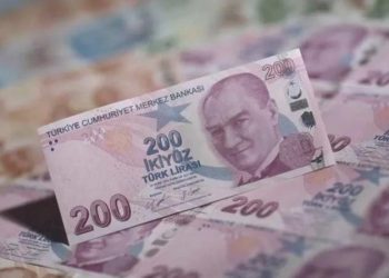 Gerçek efektif döviz kuru mayısta geriledi