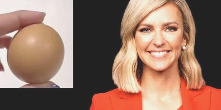 Harika biçimde yuvarlak olan yumurtanın bedeli şaşırttı