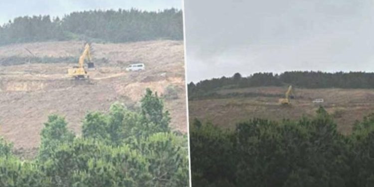 İstanbul’un en büyük yeşil alanlarından olan Maltepe Kışlası’nda ağaç katliamı