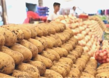 İstanbul’un Mayıs’taki Artırım Şampiyonu Belirli Oldu