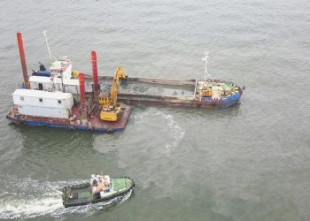 İzmir Körfezi’nde ‘müsilaj’ argümanı: Açıklama geldi!