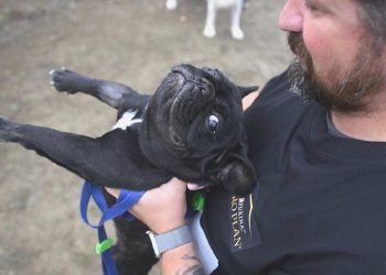 İzmir’de Köpeğini Alan Spora Koştu