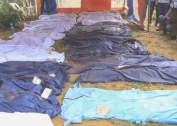 Kenya’da ‘açlık tarikatı’ soruşturmasında, kayıp 613 kişi aranıyor